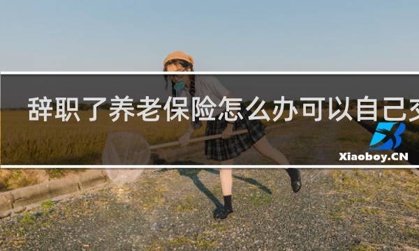 辞职了养老保险怎么办可以自己交吗
