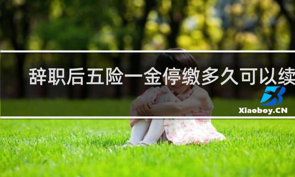 辞职后五险一金停缴多久可以续交