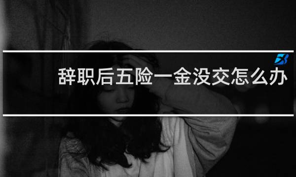 辞职后五险一金没交怎么办