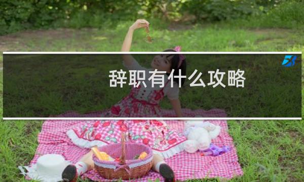 辞职有什么攻略