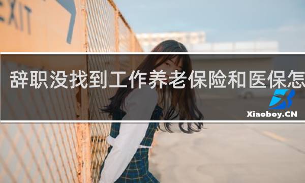 辞职没找到工作养老保险和医保怎么办