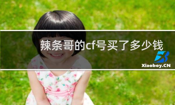 辣条哥的cf号买了多少钱