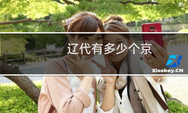 辽代有多少个京