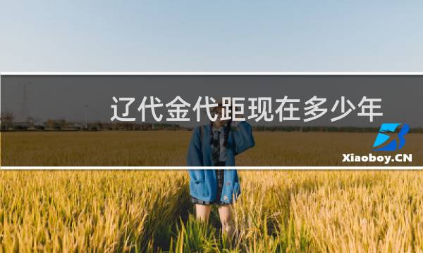 辽代金代距现在多少年
