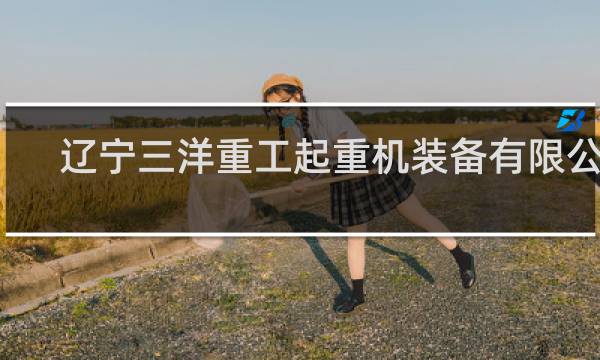 辽宁三洋重工起重机装备有限公司