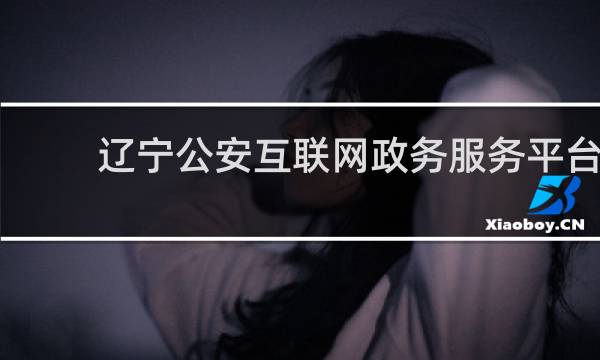 辽宁公安互联网政务服务平台