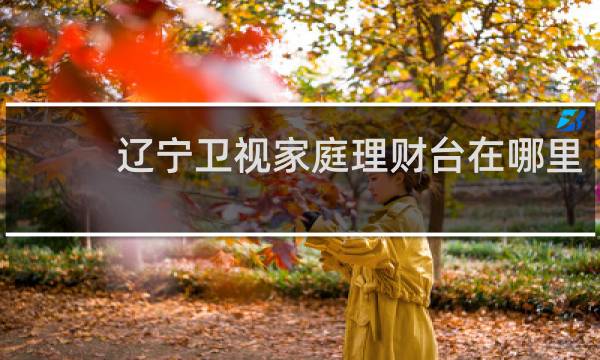 辽宁卫视家庭理财台在哪里