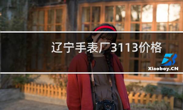 辽宁手表厂3113价格