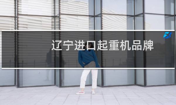 辽宁进口起重机品牌