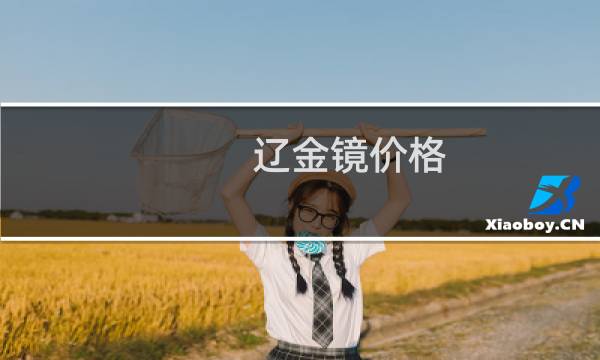辽金镜价格