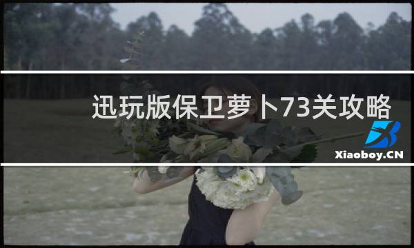 迅玩版保卫萝卜73关攻略