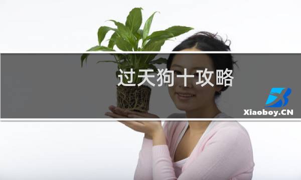 过天狗十攻略