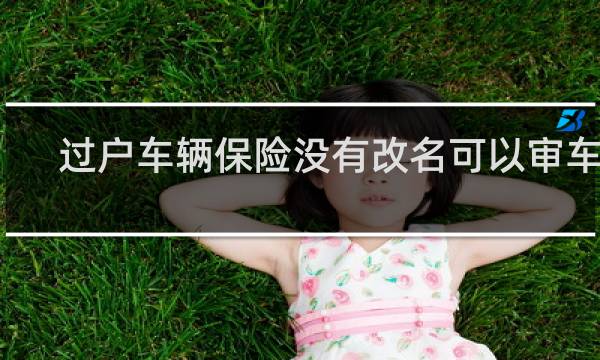 过户车辆保险没有改名可以审车吗