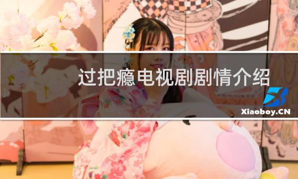 过把瘾电视剧剧情介绍