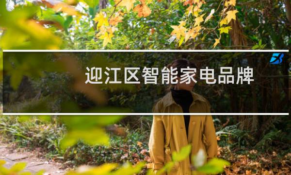 迎江区智能家电品牌
