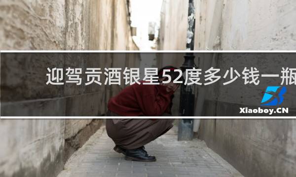 迎驾贡酒银星52度多少钱一瓶