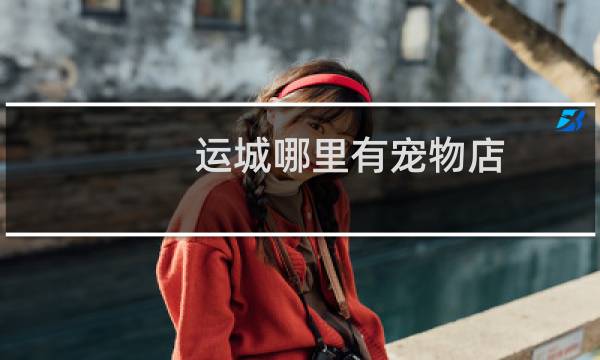 运城哪里有宠物店