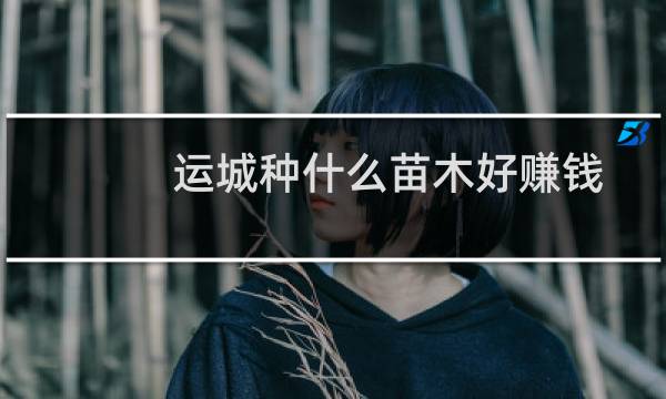 运城种什么苗木好赚钱