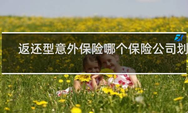 返还型意外保险哪个保险公司划算