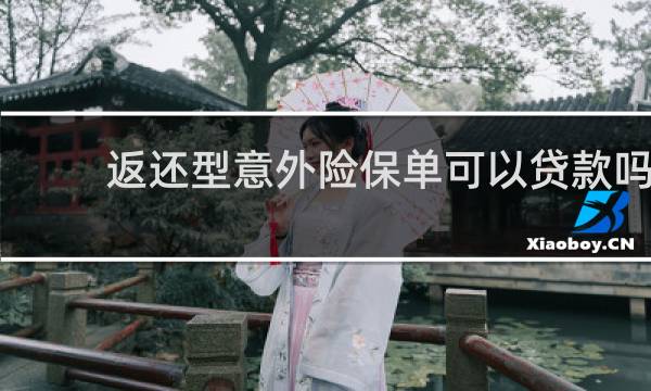 返还型意外险保单可以贷款吗