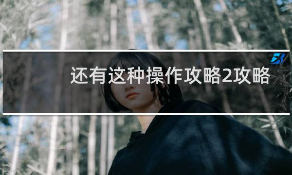 还有这种操作攻略2攻略