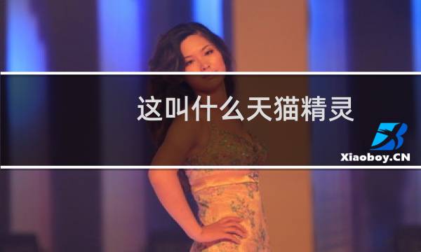 这叫什么天猫精灵