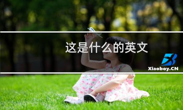 这是什么的英文