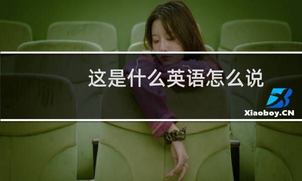 这是什么英语怎么说