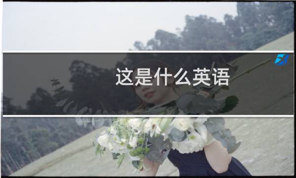 这是什么英语