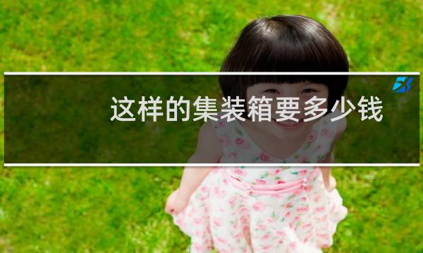 这样的集装箱要多少钱