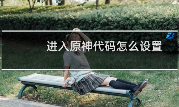 进入原神代码怎么设置