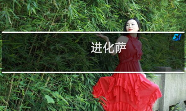 进化萨 攻略