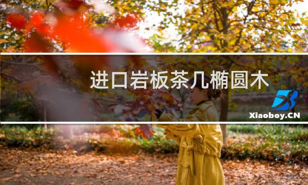 进口岩板茶几椭圆木