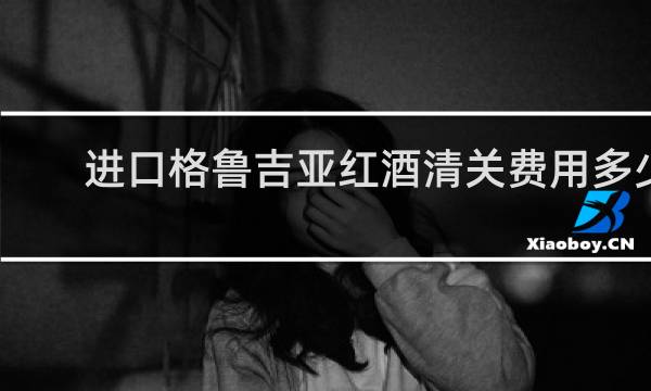 进口格鲁吉亚红酒清关费用多少