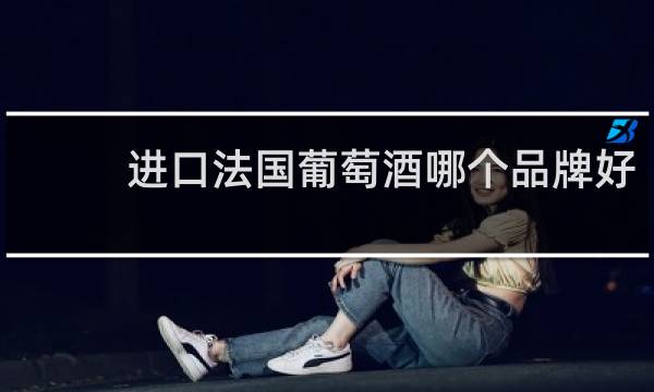 进口法国葡萄酒哪个品牌好