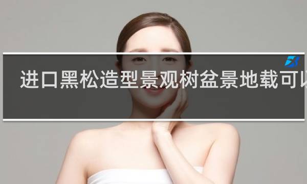 进口黑松造型景观树盆景地载可以吗