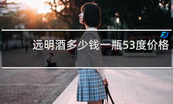 远明酒多少钱一瓶53度价格