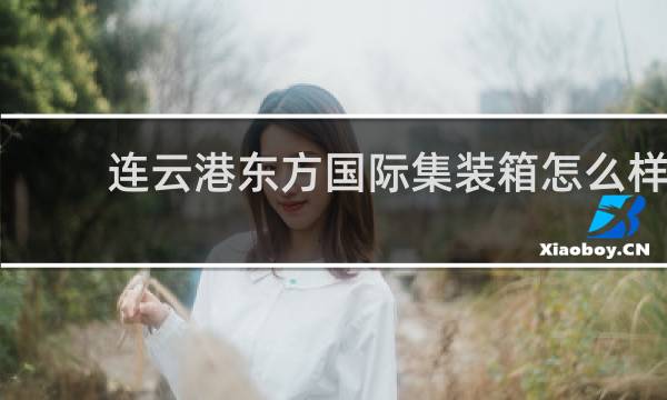 连云港东方国际集装箱怎么样