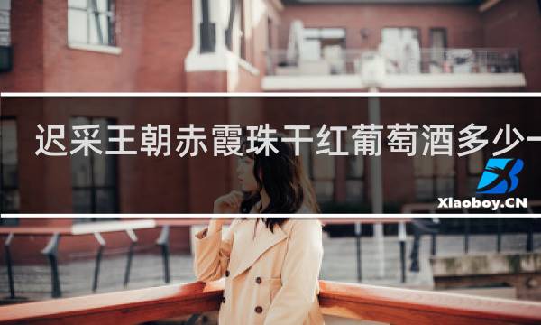 迟采王朝赤霞珠干红葡萄酒多少一瓶