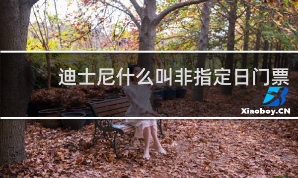 迪士尼什么叫非指定日门票