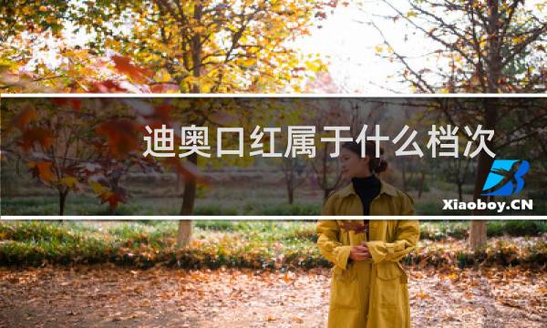 迪奥口红属于什么档次