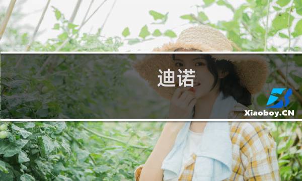 迪诺 攻略