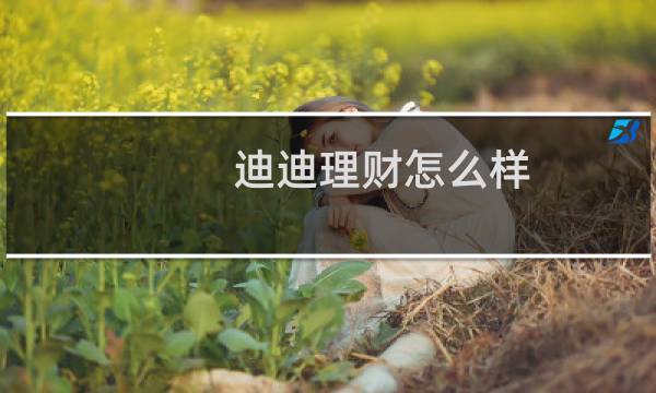 迪迪理财怎么样