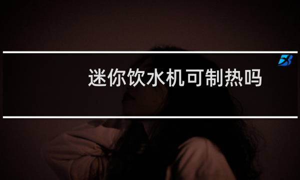 迷你饮水机可制热吗