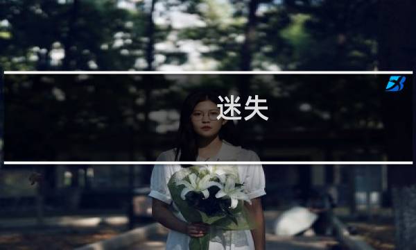 迷失 攻略