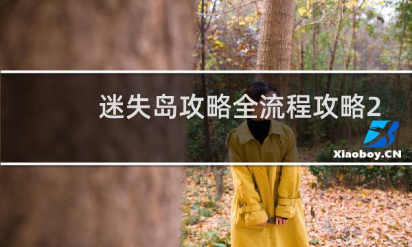 迷失岛攻略全流程攻略2