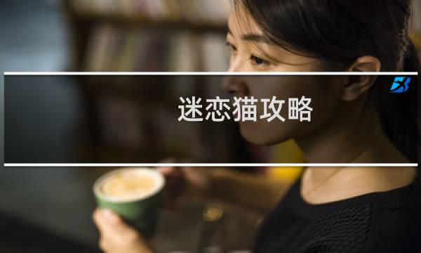 迷恋猫攻略