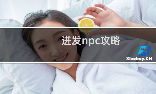迸发npc攻略