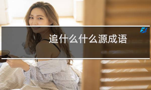 追什么什么源成语