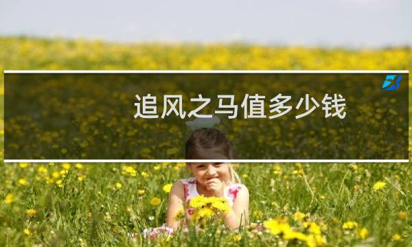 追风之马值多少钱